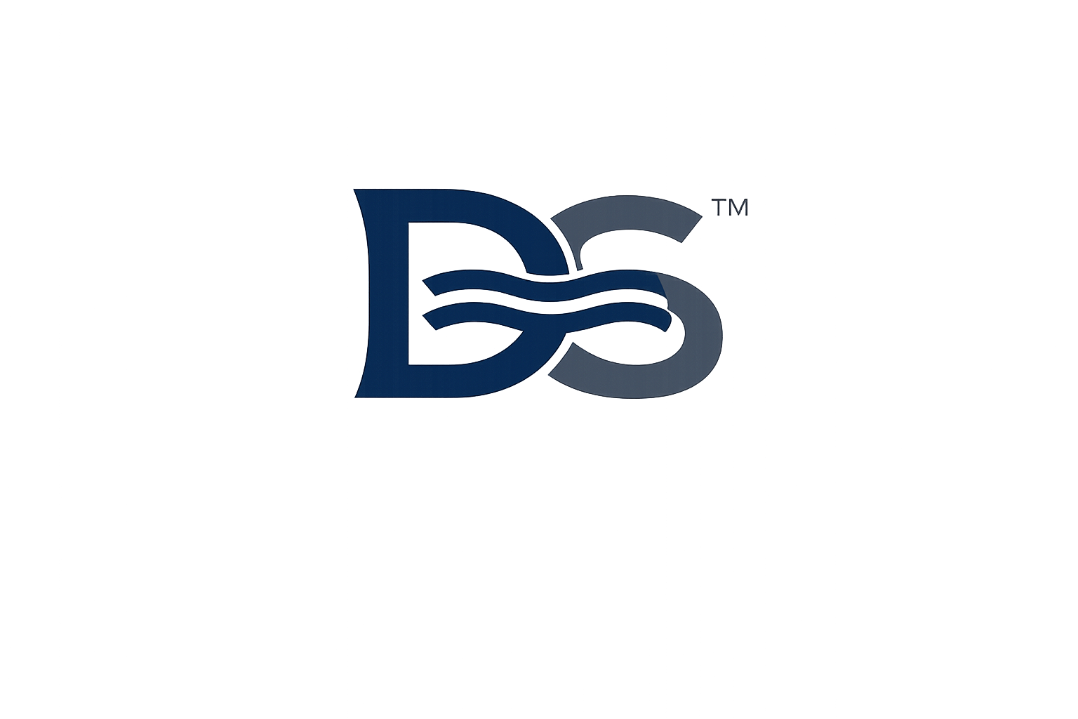 DSV Logo